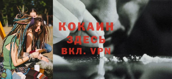 крисы Михайловск