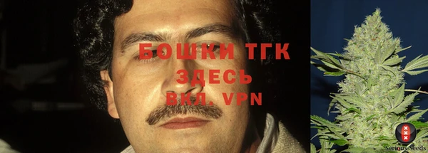 крисы Михайловск