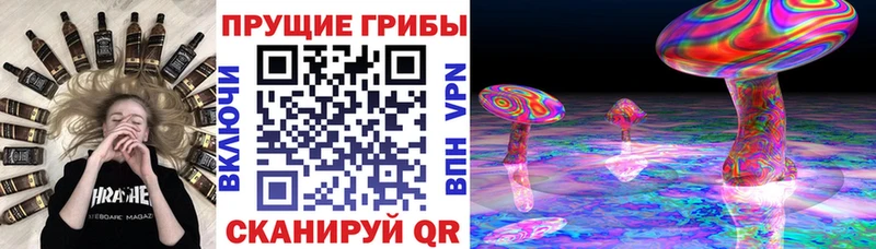 Псилоцибиновые грибы Magic Shrooms  Купить где  Новокузнецк 